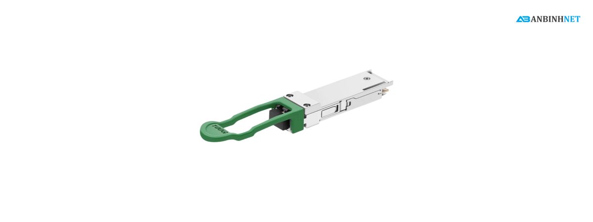 Cisco CPAK-100G-ER4L