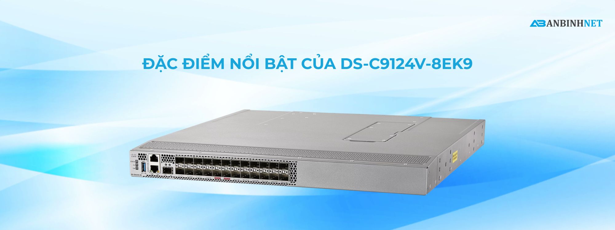 MDS Cisco DS-C9124V-8EK9