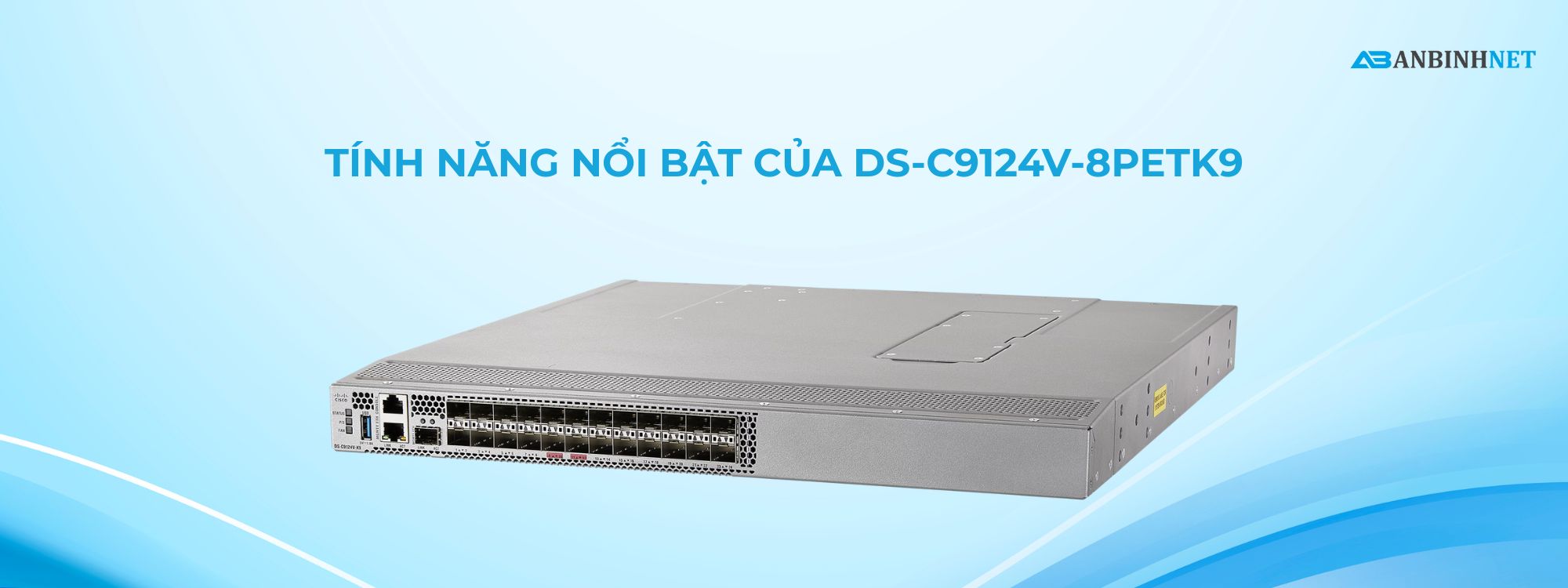MDS Cisco DS-C9124V-8PETK9